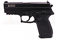 Cybergun Swiss Arms P229 Navy Compact (with Rails)