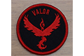 Team Valor Velcro Patch