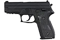 WE TECH Full Metal F229 GBB Pistol BK (with rail)