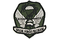 Special Forces (Wing)